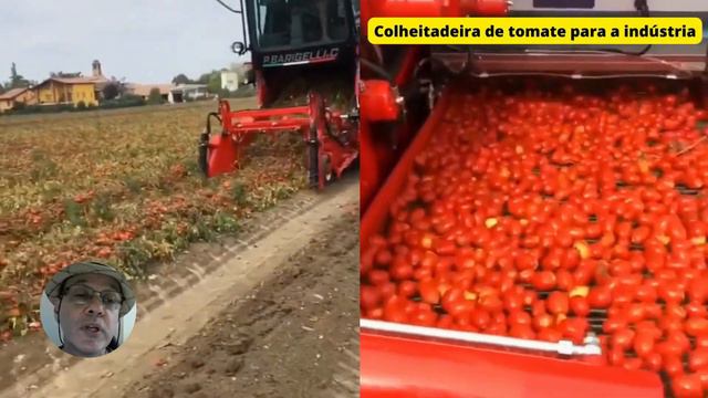 PLANTADEIRAS e COLHEITADEIRAS incríveis do AGRO brasileiro.