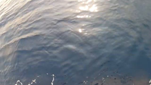 Tunaman Gets a 50 on the Sea Adventure 80