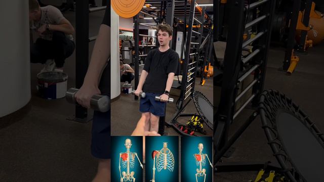 Упражнение на грудоплечи #shorts #fitness