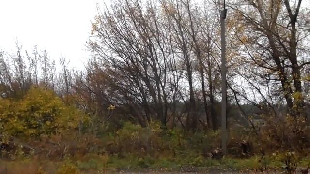 Beautiful Nature Video. colors of autumn. КРАСКИ ОСЕНИ. Опавшие листья. ОСЕНЬ 2017.