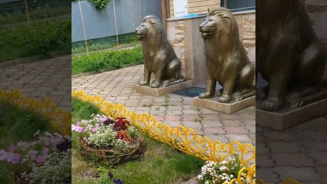 Гостиницы в Майкопе,  Майкоп Отель & Хостел Сити