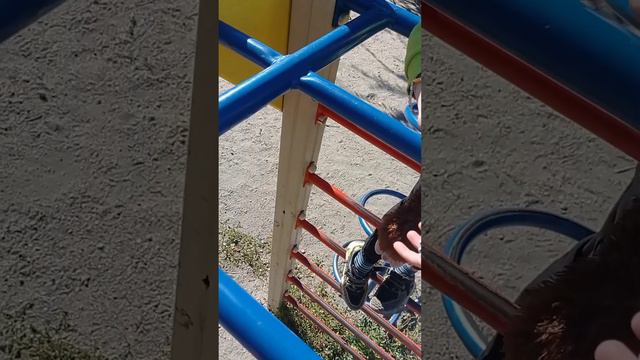 мучаем обезьянку 3 часть