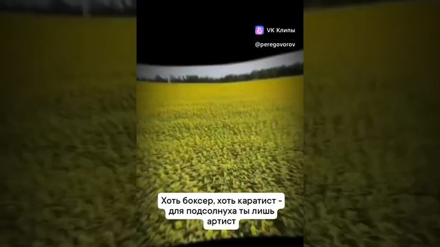 Подсолнух 🌻 борец🤣