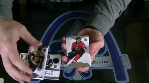 2013-2014 Panini Dominion Hockey 1/2 Case Group Break #693