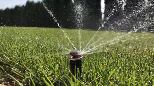Полив газона