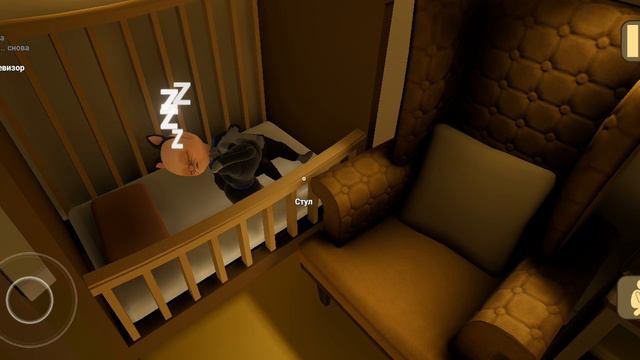 посиделки с лысым