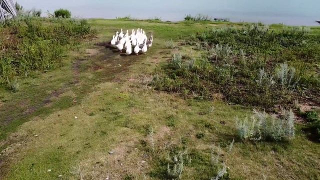Озеро Аушкульгора Ауштау.  Башкирия