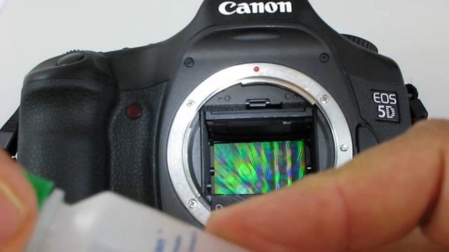 Canon 5D sensor cleaning Vswab MXD-100 from Visibledust