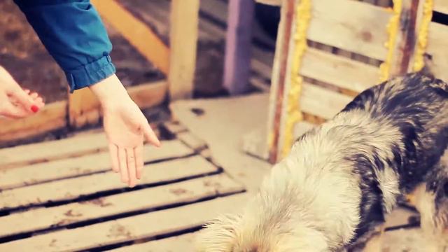 Фонд ДРУГ. Счастливые истории!