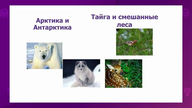 Физика. 8 класс. Роль тепловых явлений в жизни живых организмов /15.09.2020/