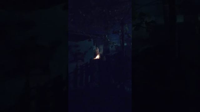 Негуца бомбовоз и ее безплодная внучка
