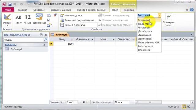Создание таблиц в Access 2010 в режиме «Таблица»