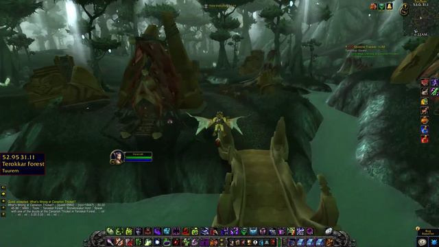What's Wrong at Cenarion Thicket WoW TBC Classic