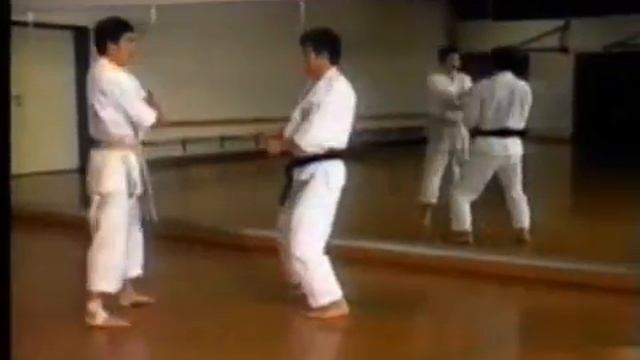 Kihon Ippon Kumite Sets for Shotokan