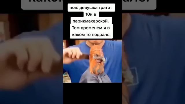 Дёшево и стильно?? #юмор #приколы #стрижка #дешево #жиза