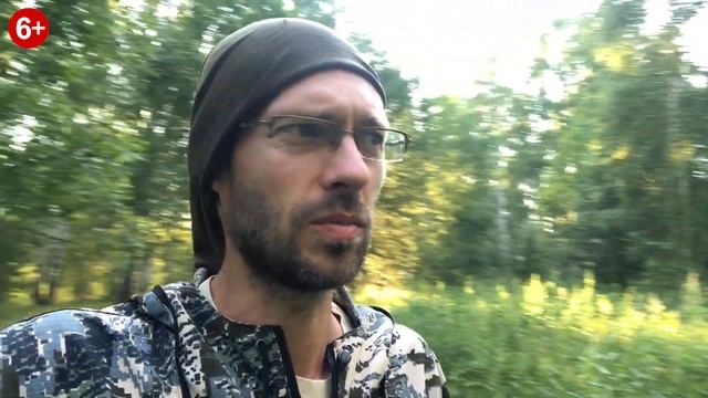 Борщевик через 19 дней после кошения.