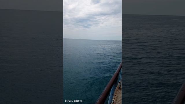 Морюшко