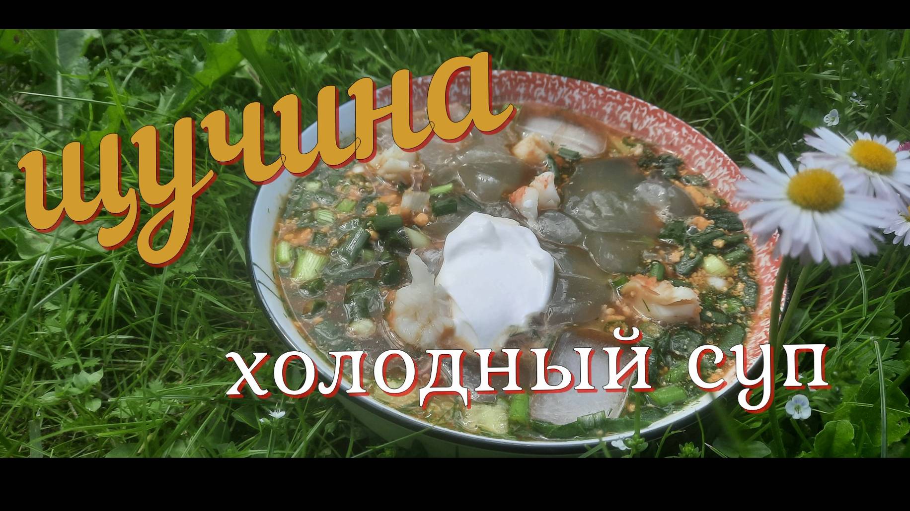 Надоела Окрошка, попробуй Щучина, холодный рыбный суп
