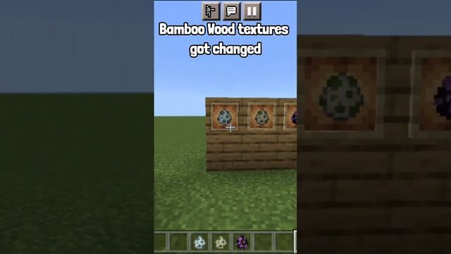 Minecraft PE 1.19.60 Official Version Released | Mcpe 1.19.60 Java Features #shorts