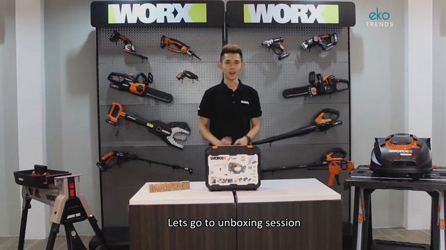 WORX WX550 20V 2.0Ah Max Li-ion Cordless Axis Saw / Multi-Purpose Saw with Power Share  Technology