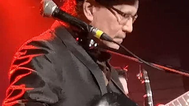 Petunia and the Vipers live NYE 2018