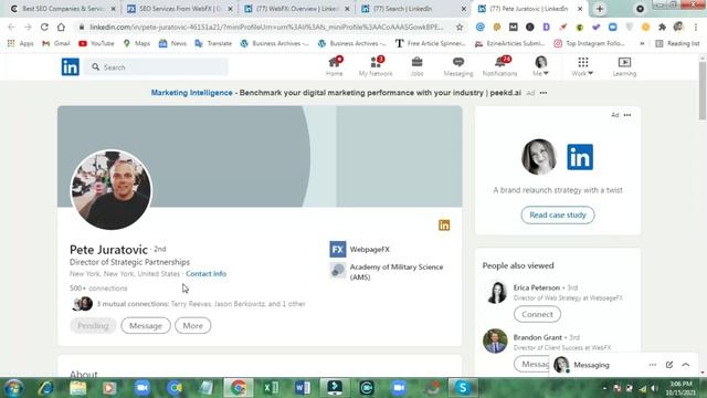Get Clients On Skype | Talk With Clients On Skype | GBOB Lec #15 | Learn With Zilli