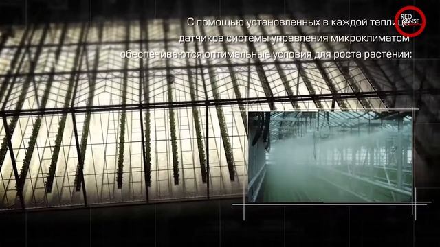 Проект планировки Тепличный комплекс