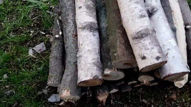 ЖЕНА ПЛОХО УБИРАЕТ В КВАРТИРЕ. ПОЙМАЛ НА ГОРЯЧЕМ. ПРИНЁС НОВУЮ ПАРТИЮ ДРОВ