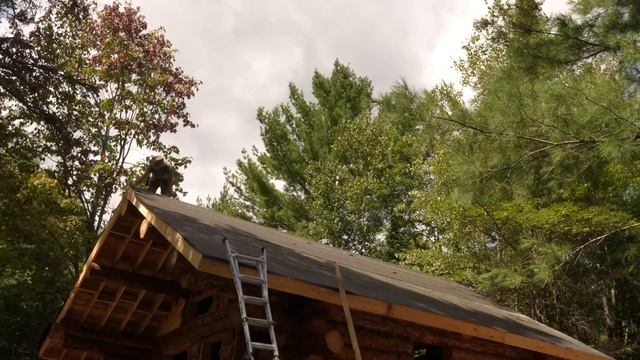 A Cabin in the Woods,  Roof, Windows | Building an Off Grid Log Cabin Alone in the Wilderness, Ep22