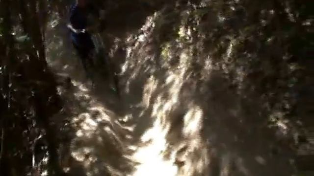 DH LA TUMBA DEL CAZADOR 2012