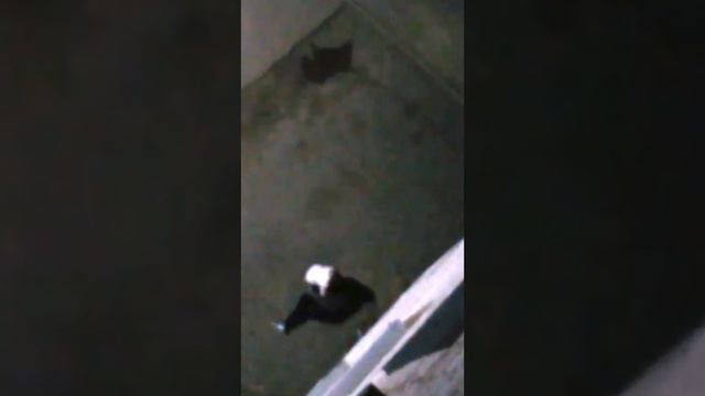 Автор жжет №1 смотреть до конца