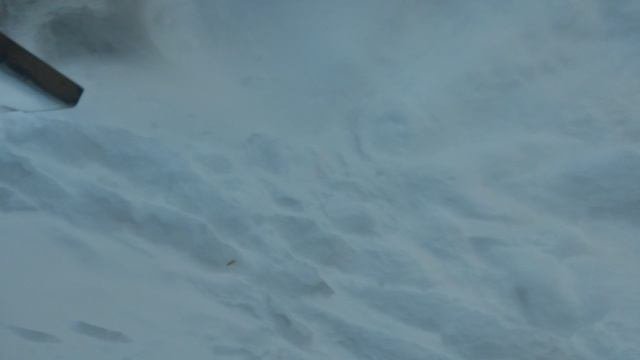 20231215_122812.mp4