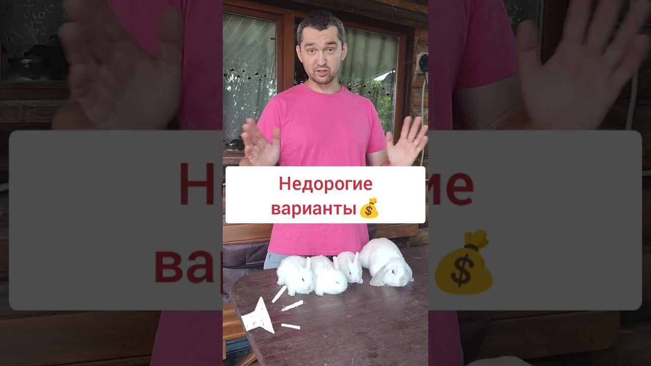 ✅Недорогие декоративные кролики ✅