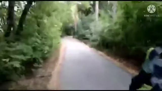 похороны лета