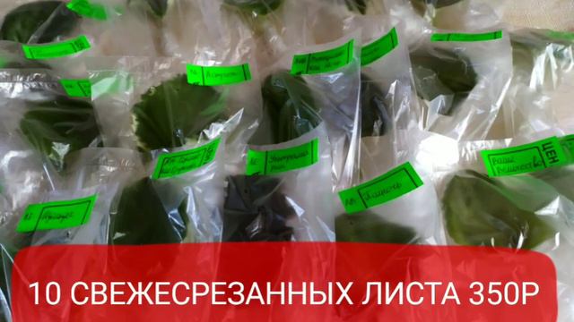 ПРОДАМ НАБОР ИЗ 10 ЛИСТОВ.