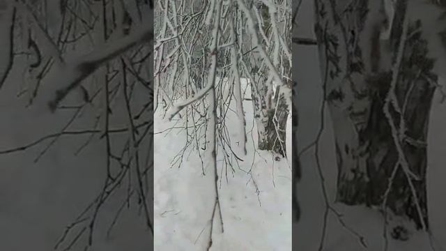 новогоднее видео со свечой С РОЖДЕСТВОМ VID-20220107-WA0001.mp4
