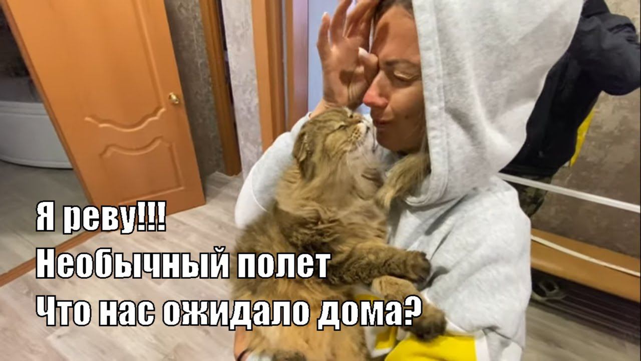 МЫ ДОМА!!!!! ВСТРЕЧА СО СТЕШЕЙ