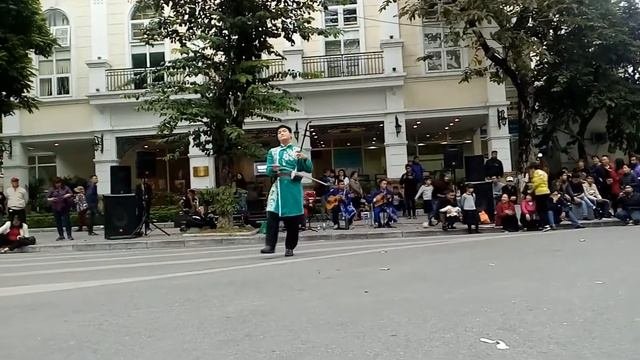 Вьетнамская скрипка Дан Нхи