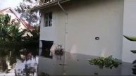 Продолжаются наводнения в Кении 

Власти говорят о гуманитарной катастрофе. Большая часть Найроби...