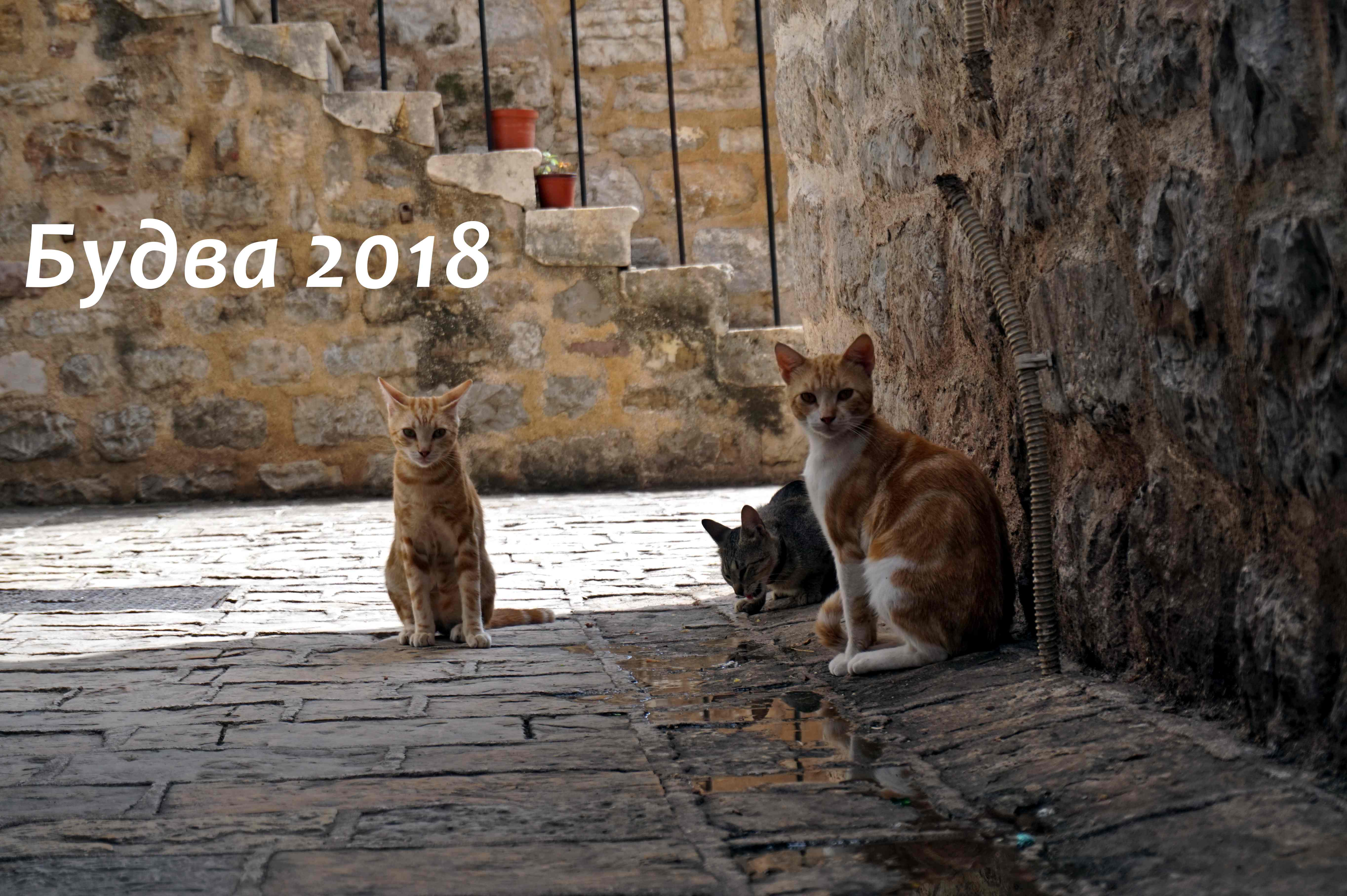 Будва 2018