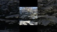 5.12. 2023 выпал первый снег