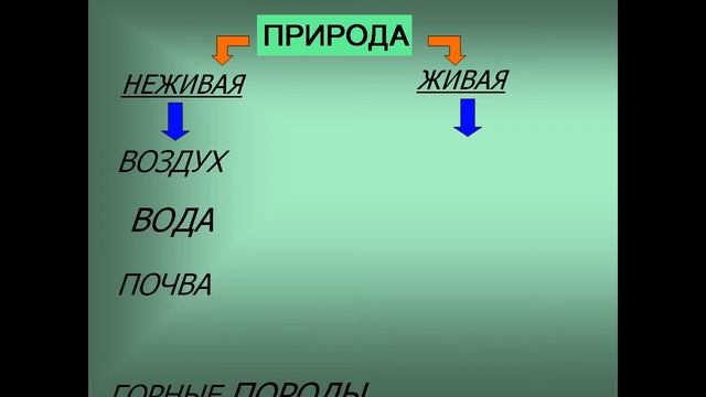 жизнь экосистемы 3 класс презентация