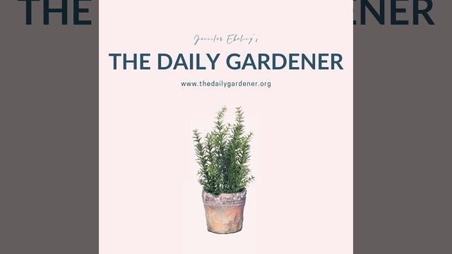 December 23, 2020  Six Great Perennials for Design, John Jay, Francis Masson, Ann Batten...