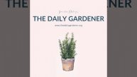 December 23, 2020 Six Great Perennials for Design, John Jay, Francis Masson, Ann Batten...