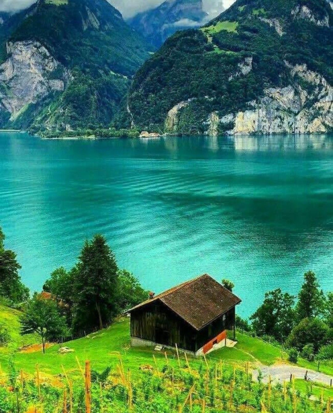 Grindelwald Красоты Швейцарии - Природа Швейцарии - The beauties of Switzerland - The Nature of Swit