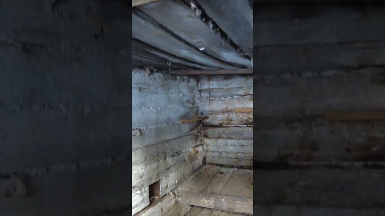 КАРЛИКОВАЯ ИЗБУШКА В ТАЙГЕ#жизньвтайге #shot #отшельник #тайга