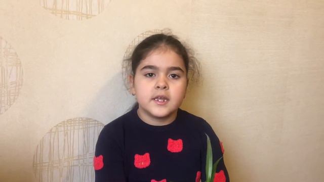Քլորոֆիտում