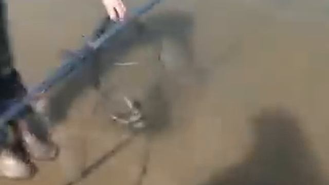 Соревнования в Астрахани