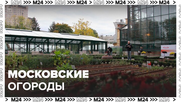 "Это Москва. Социальный блок": каникулы. Московские огороды - Москва 24