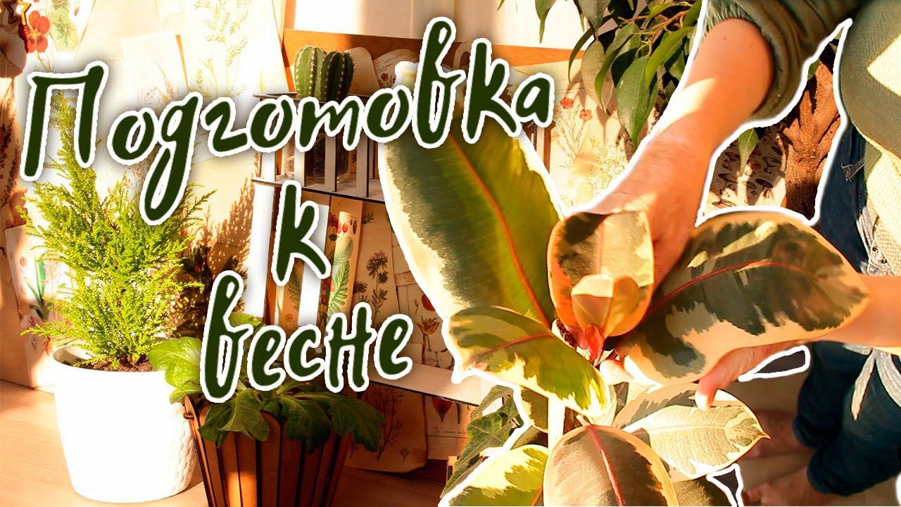 Уютный солнечный день в деревне | скоро весна | уборка, посадка растений, полка своими руками